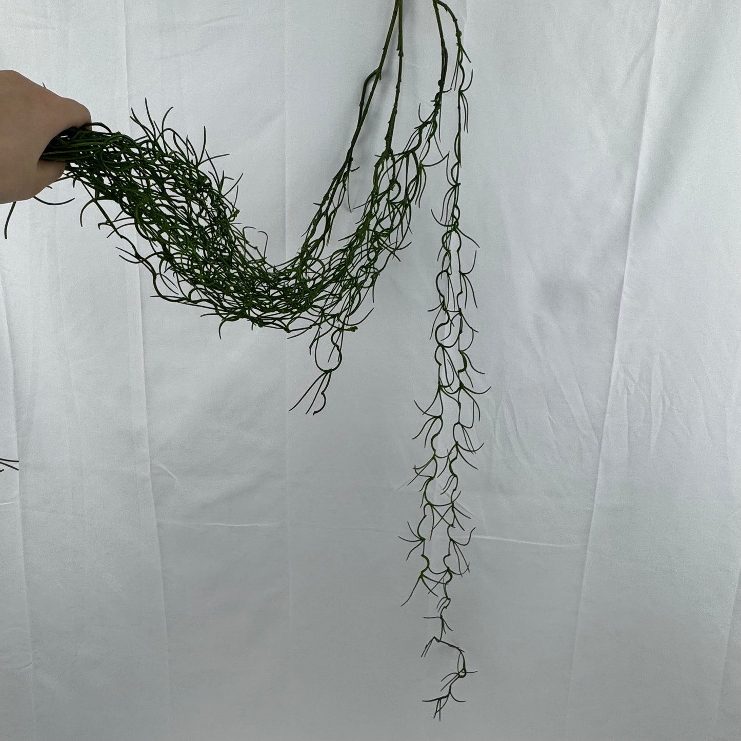 Green Hanging Seaweed Branch