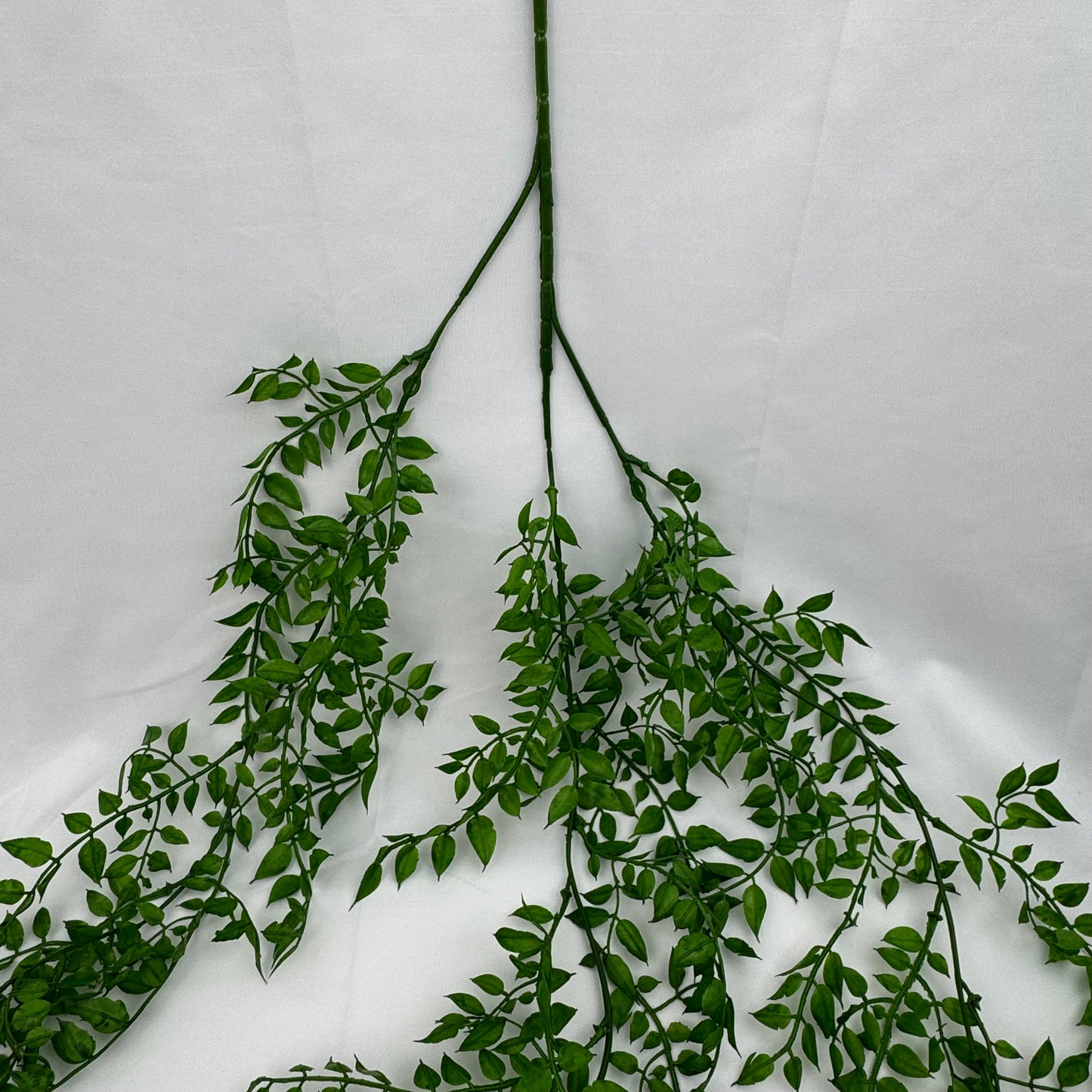 Green Hanging Sandalwood Leaf