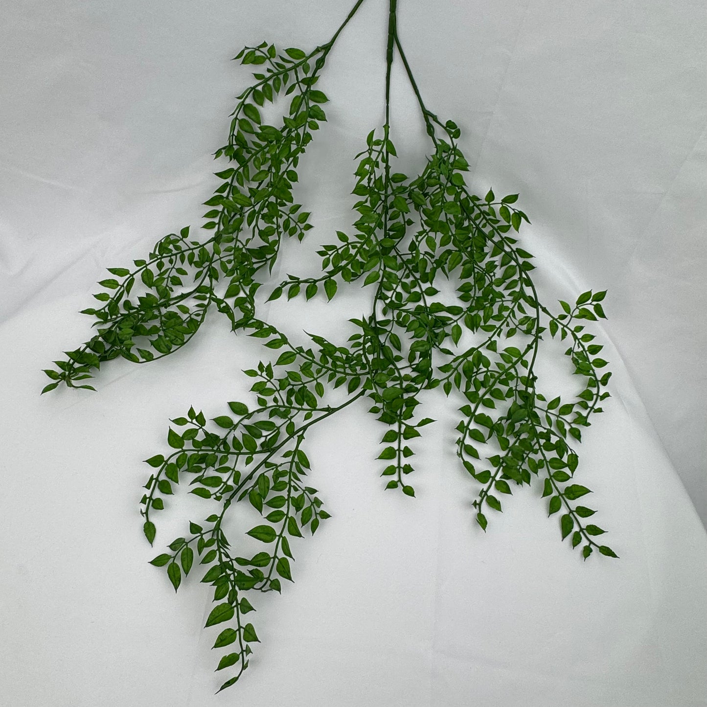 Green Hanging Sandalwood Leaf