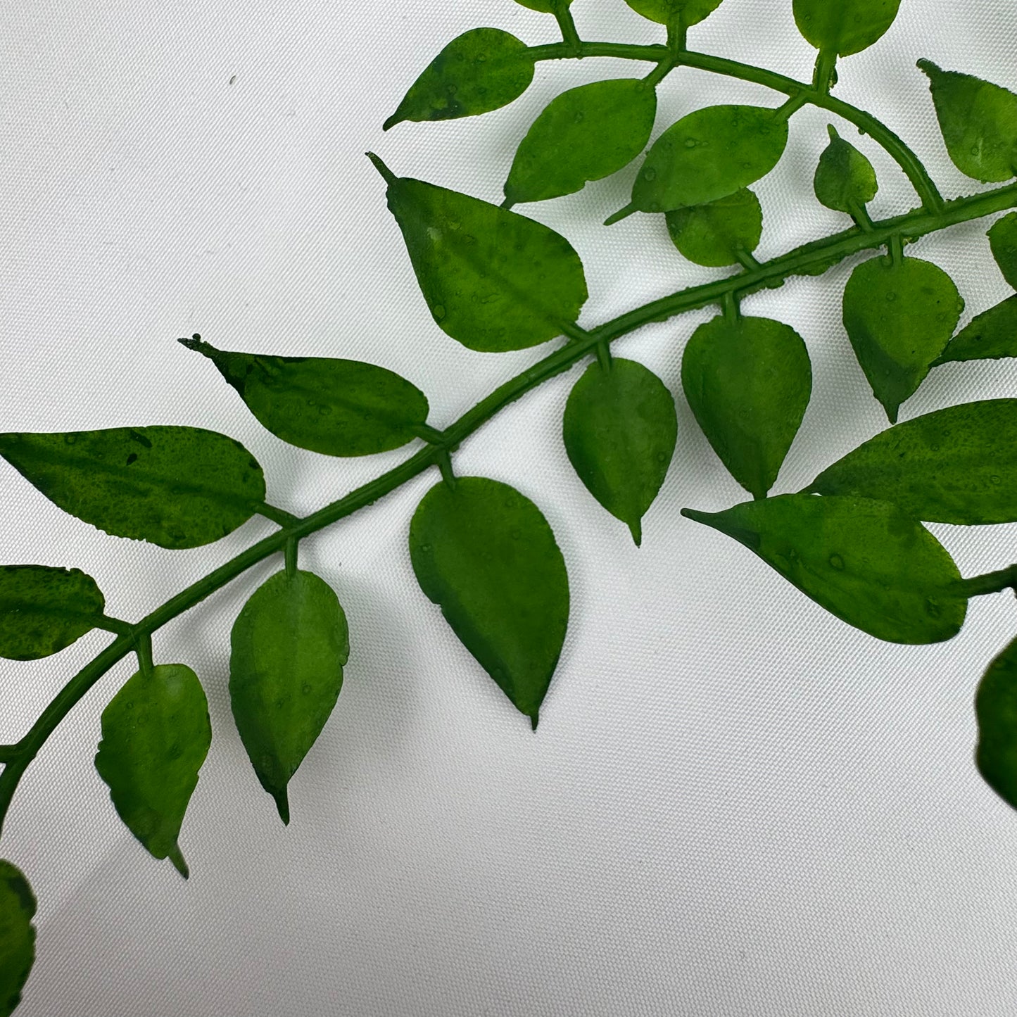 Green Hanging Sandalwood Leaf