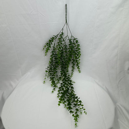 Green Hanging Eucalyptus