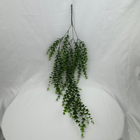 Green Hanging Eucalyptus