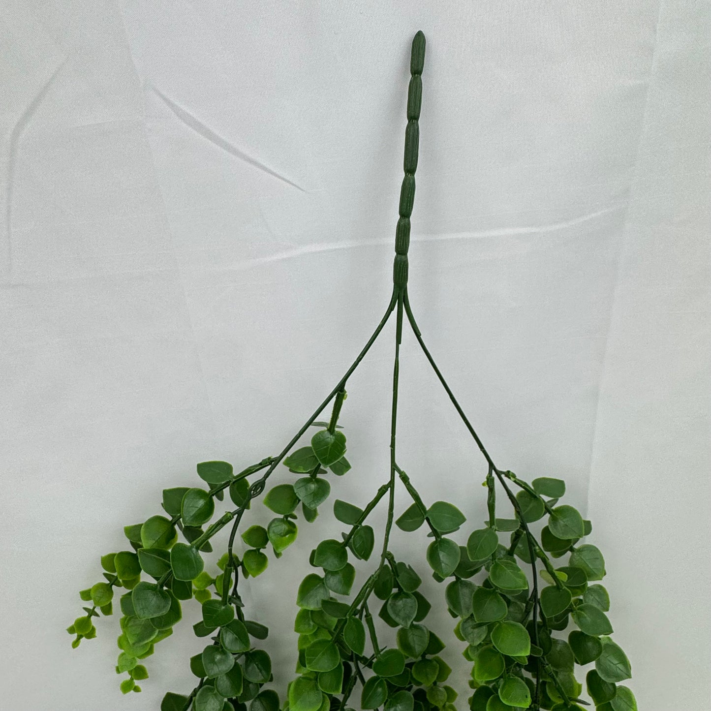 Green Hanging Eucalyptus