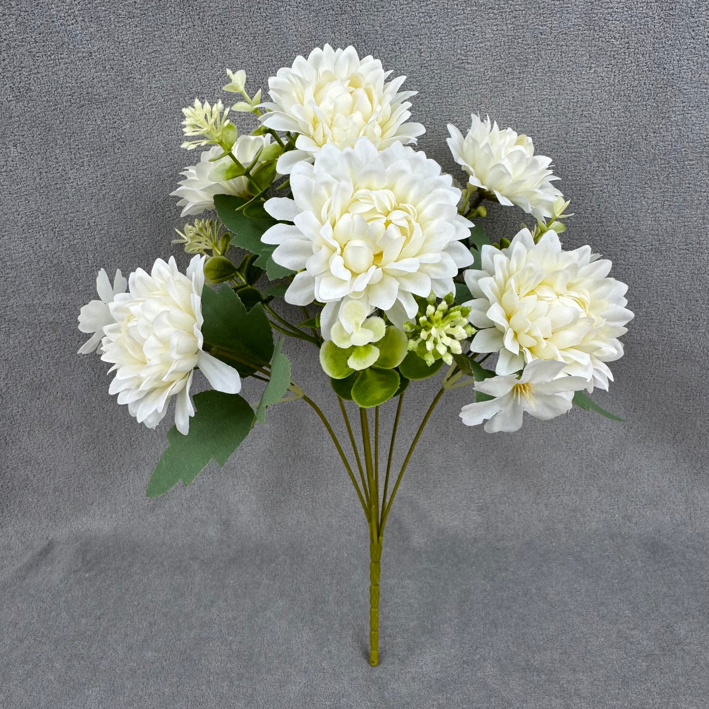 White Silk Dahlia Bush - 7 Heads