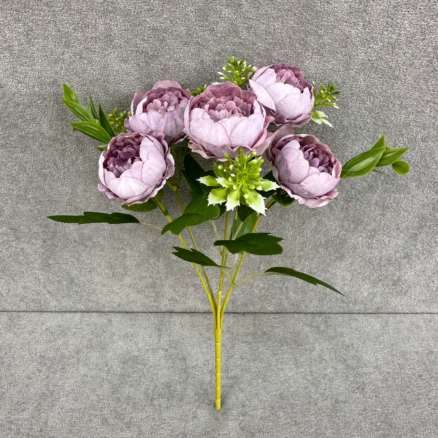 Lavender Silk Round Peony Bush - 5 Heads