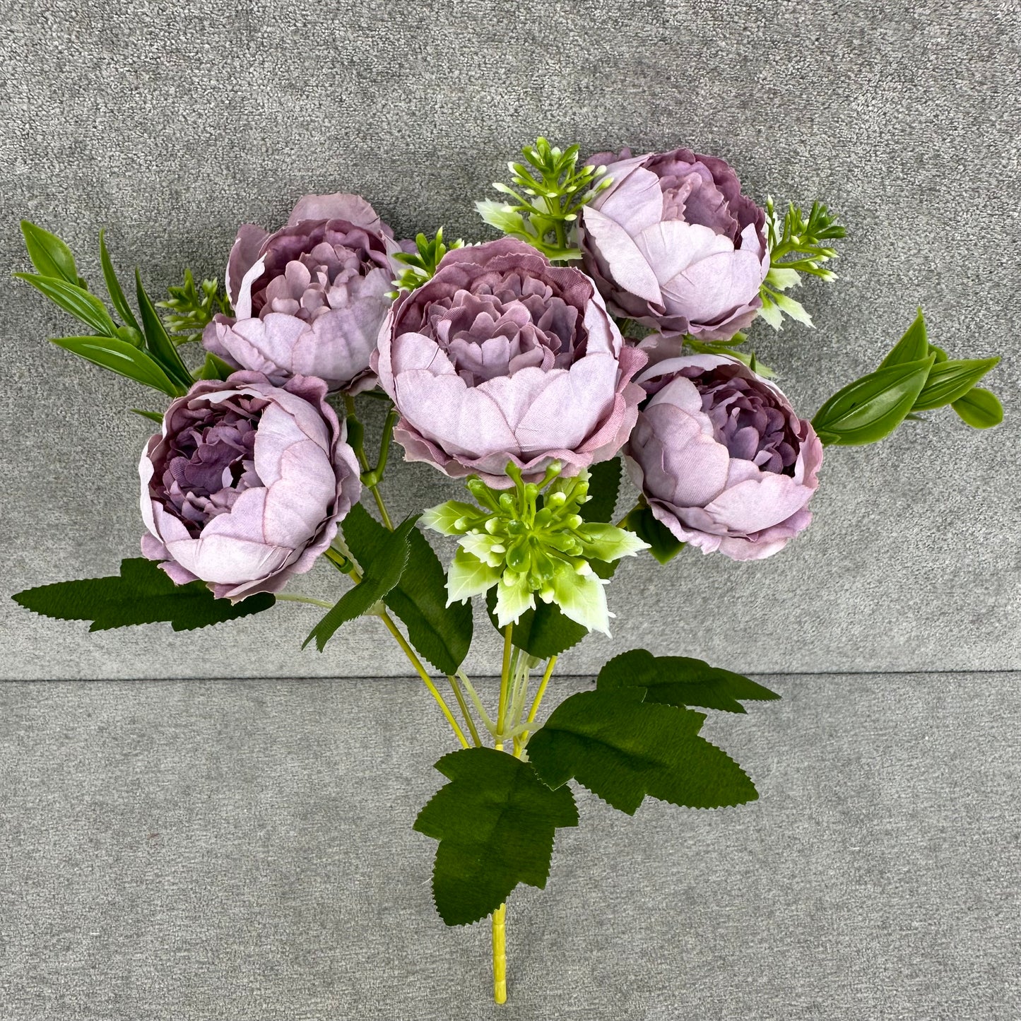 Lavender Silk Round Peony Bush - 5 Heads