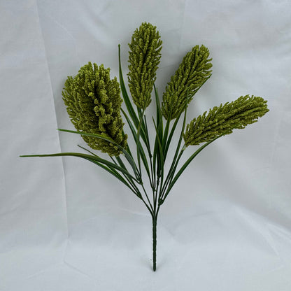 Green Corn Cob Bunch