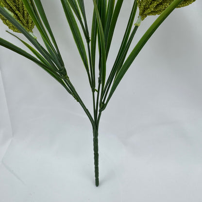 Green Corn Cob Bunch