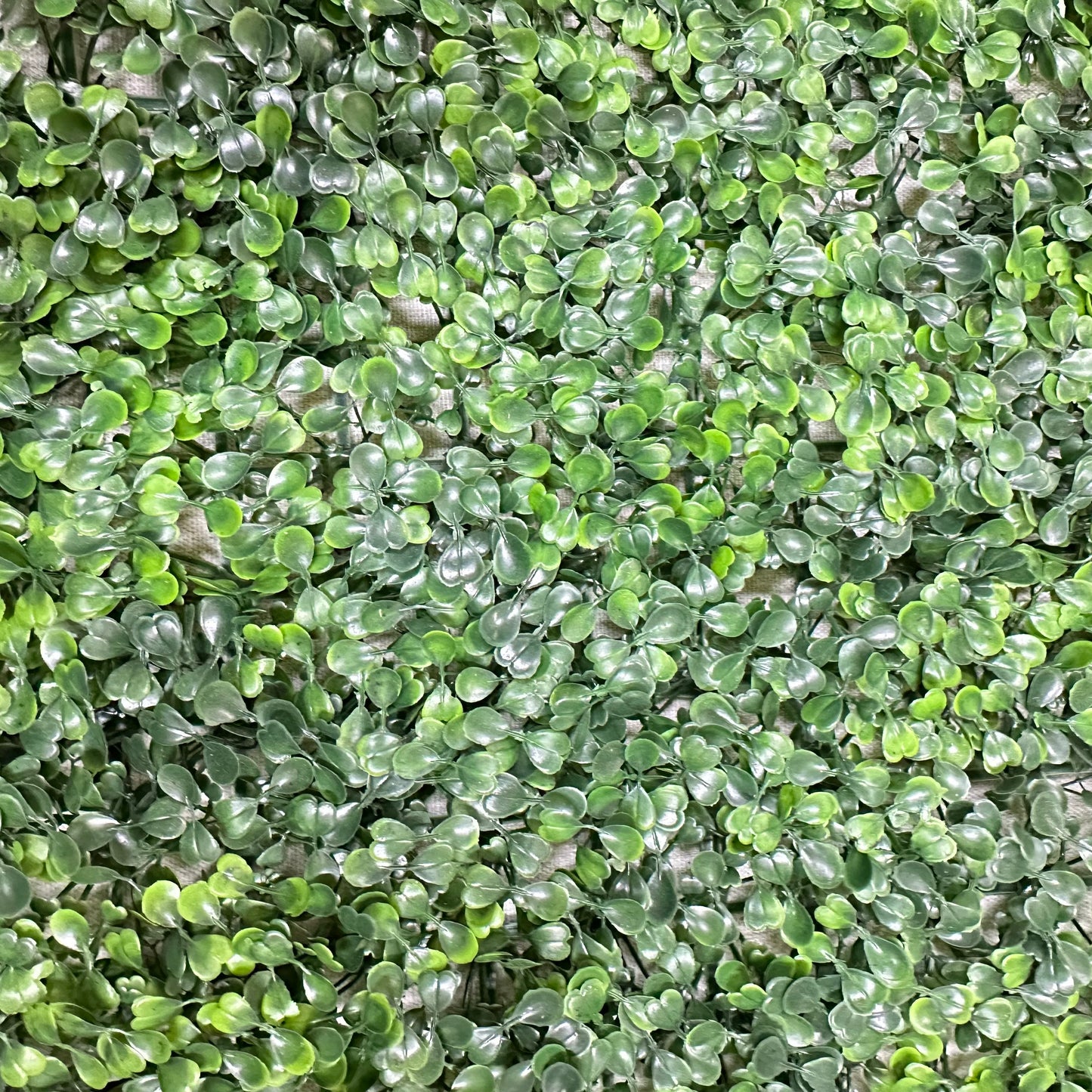 Flower Wall Panel 1