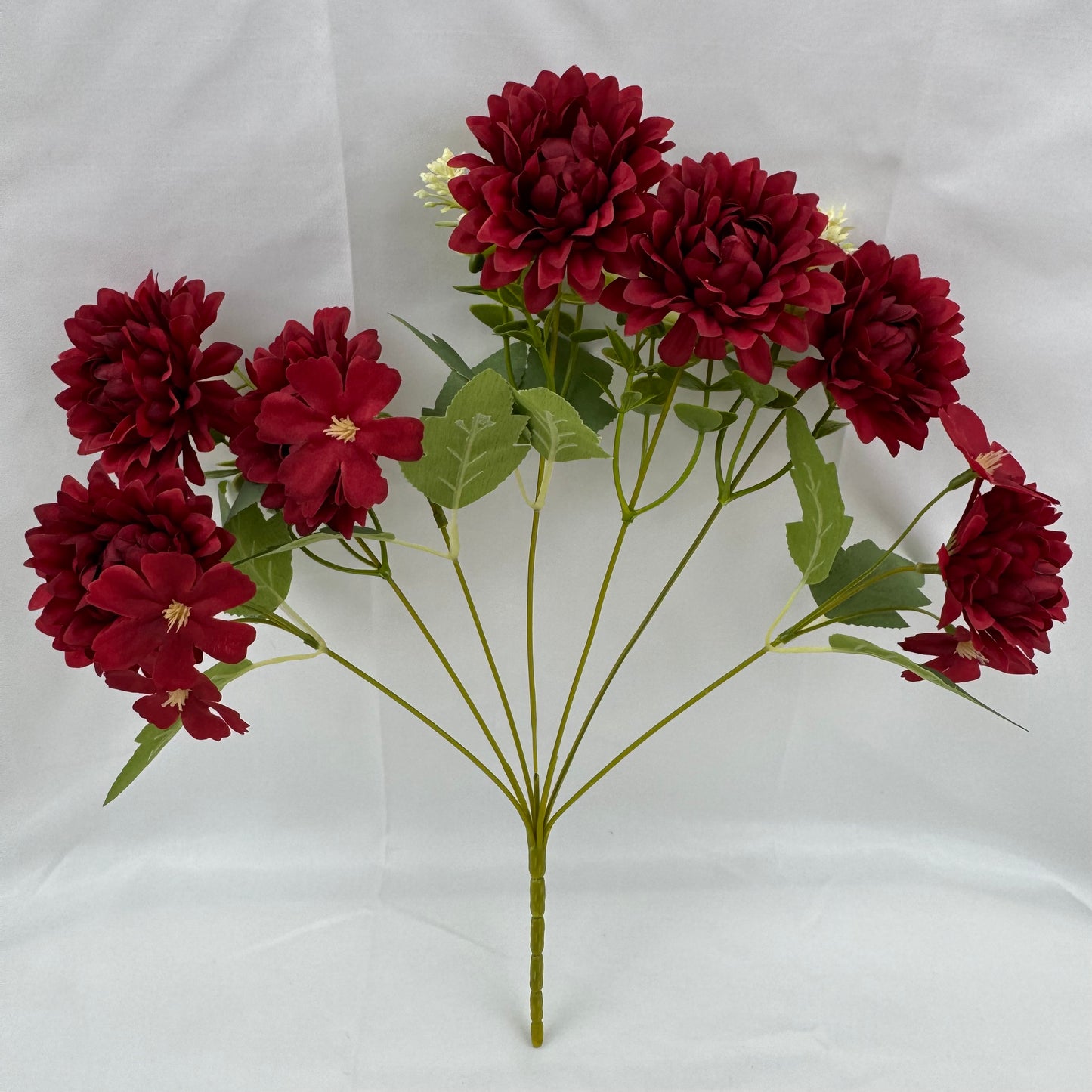 Red Silk Dahlia Bush - 7 Heads